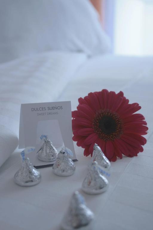 Hotel Lugano Suites Bogotá Exteriér fotografie